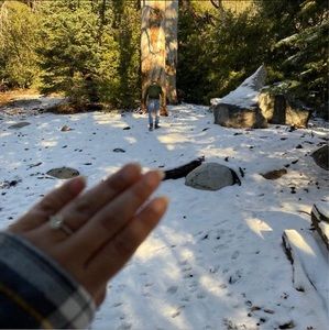 Meet your Posher, Gregorio